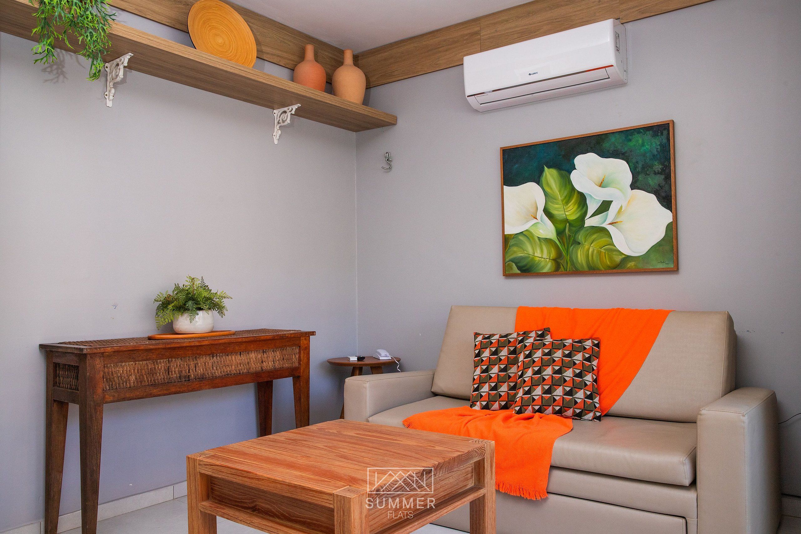 Un salon comprenant un canapé, une table basse, une étagère en bois ornée d’objets décoratifs, un tableau et un appareil de climatisation.