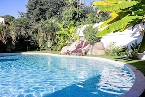 Una piscina con borde de azulejos, rodeada de abundante vegetación y un muro blanco.