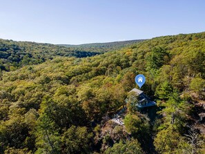 A remote cabin surrounded by dense forest, accessible by a narrow path.