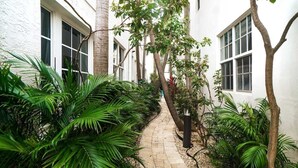 A narrow stone pathway flanked by lush green plants and trees, leading to a building with large windows. - SOUTH BEACH, SOFI, Minutes From Beach! (Miami Beach)