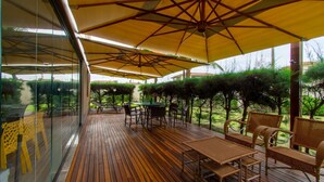 Ảnh chưa phân loại, 2 trong số 47 ảnh, nút