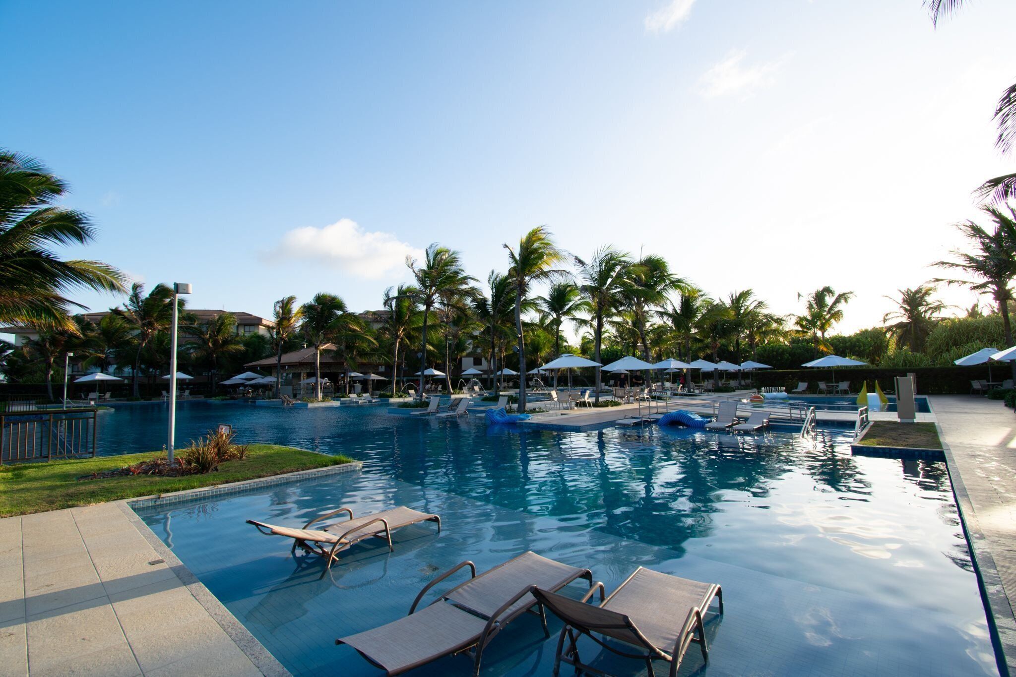 A swimming pool with lounge chairs and umbrellas, surrounded by palm trees and buildings.