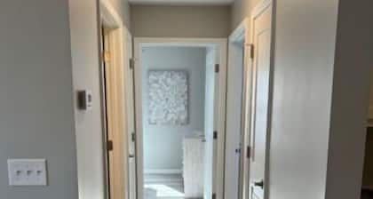 Luxury life in downtown 2