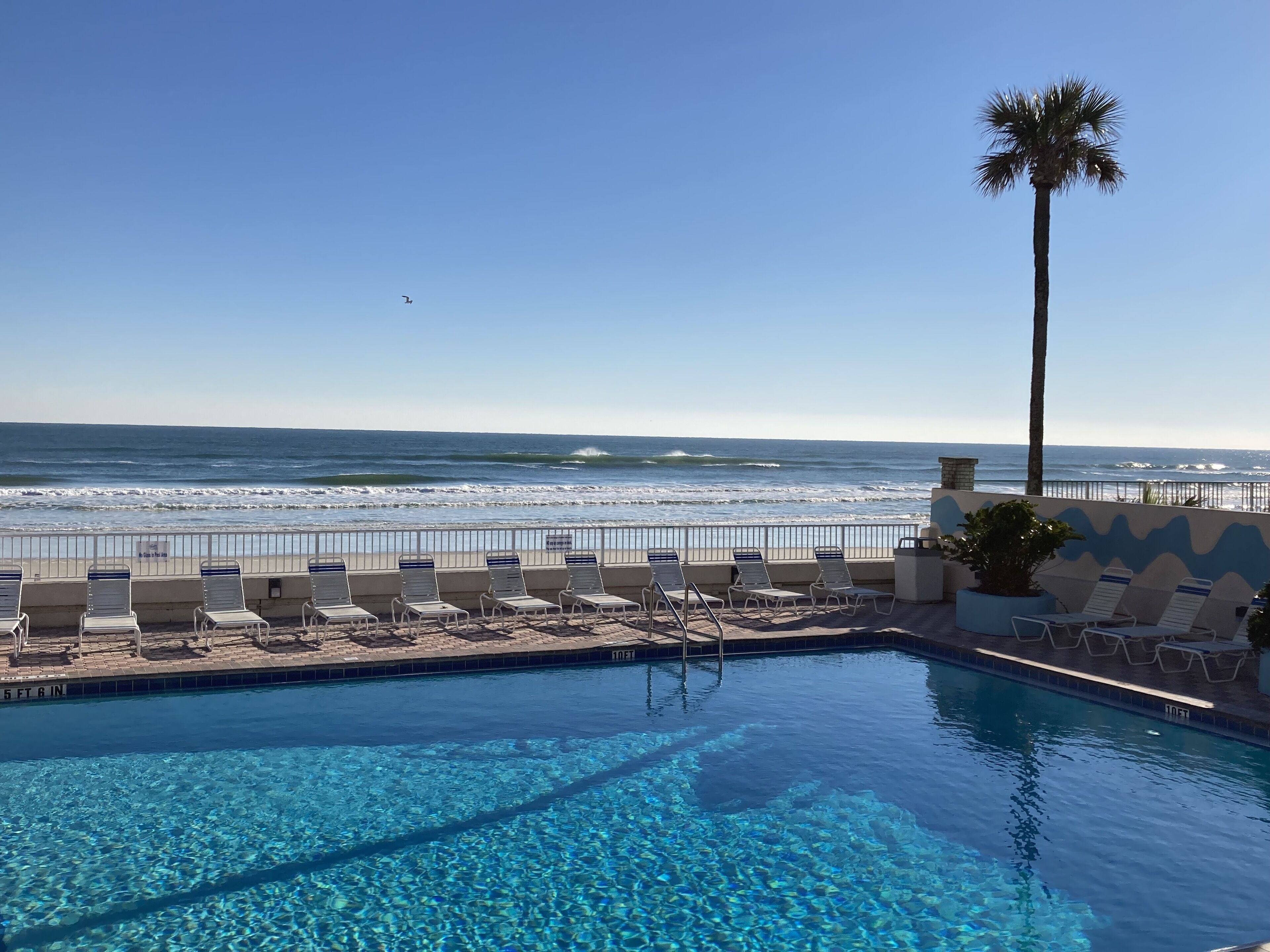 Swiss Clean, Oceanfront/Balcony/Pool/Tiki Bar Grill