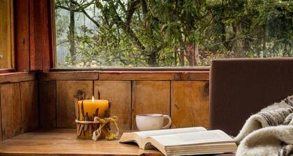 Pet-friendly cottage for groups with fireplace and forests