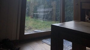 Oklassificerad bild, 5 av 25, knapp