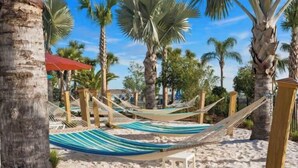 Ein Strand mit Hängematten und Palmen.