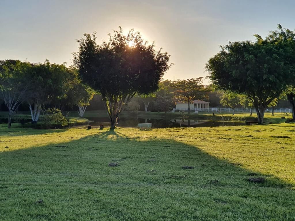 A grassy field with trees and a small building in the background.