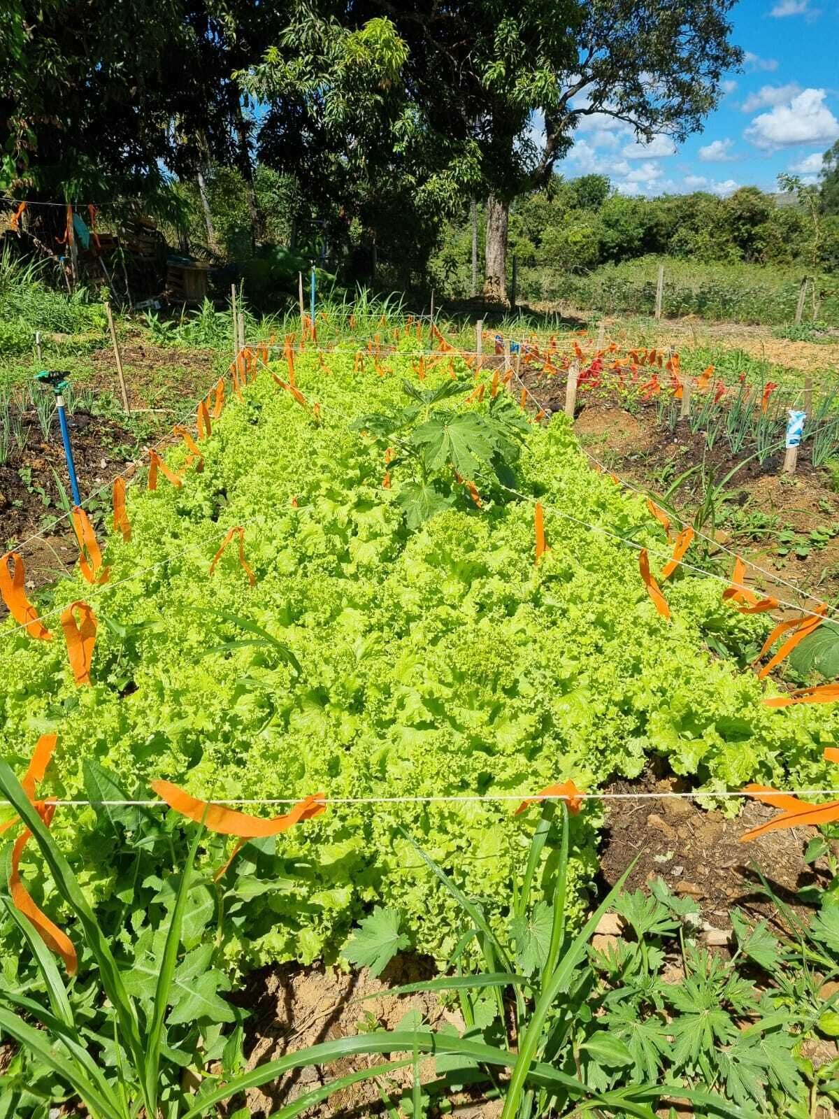 32-inch TV with cable channels