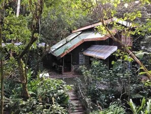 Set amidst lush greenery, this charming single-story home offers a secluded retreat.