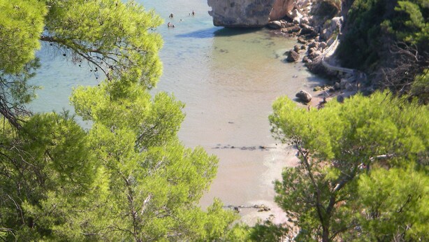 A coastal landscape with clear waters, rocky outcrops, and dense green pine trees. - Cozy villa with sea view. (Peschici)