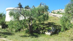 A stone wall with a white cylindrical structure, surrounded by olive trees and greenery. - Cozy villa with sea view. (Peschici)