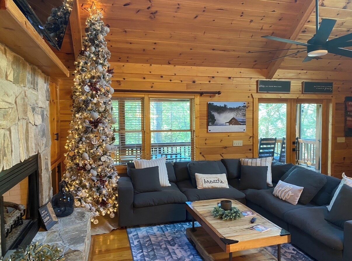 TV, fireplace, video games