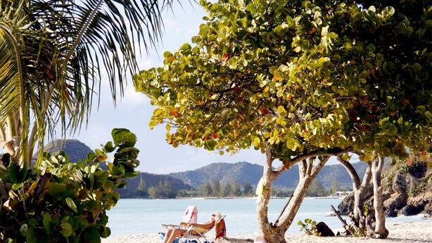 A beach scene with a tree providing shade, a chair, and a clear view of the water and mountains in the background. - Bay House - 3 bedroom Villa, private pool and garden, near beaches (Saint Mary)
