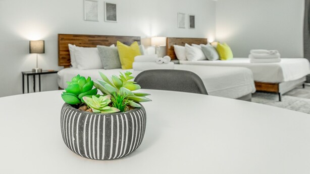 Et moderne hotelværelse med en seng, sengeborde og en potteplante på et rundt bord.