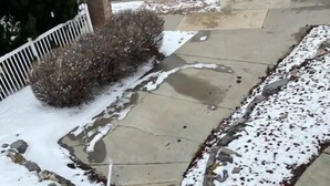 Un camino de concreto con parches de nieve, una cerca blanca y un arbusto.