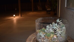 Een glazen terrarium met vetplanten en cactussen op een ronde houten tafel.