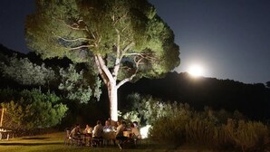 En gruppe mennesker spiser ude om natten under et stort træ, med en klar måne i baggrunden.