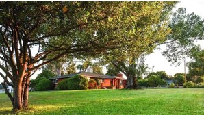 A house with a large tree in front, a well-maintained lawn, and a clear sky. - Mountain View Farmhouse; lots of extras! (Mead)