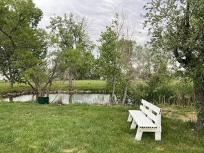 Situated near a serene pond, this peaceful spot offers a tranquil atmosphere with a bench amidst lush surroundings.