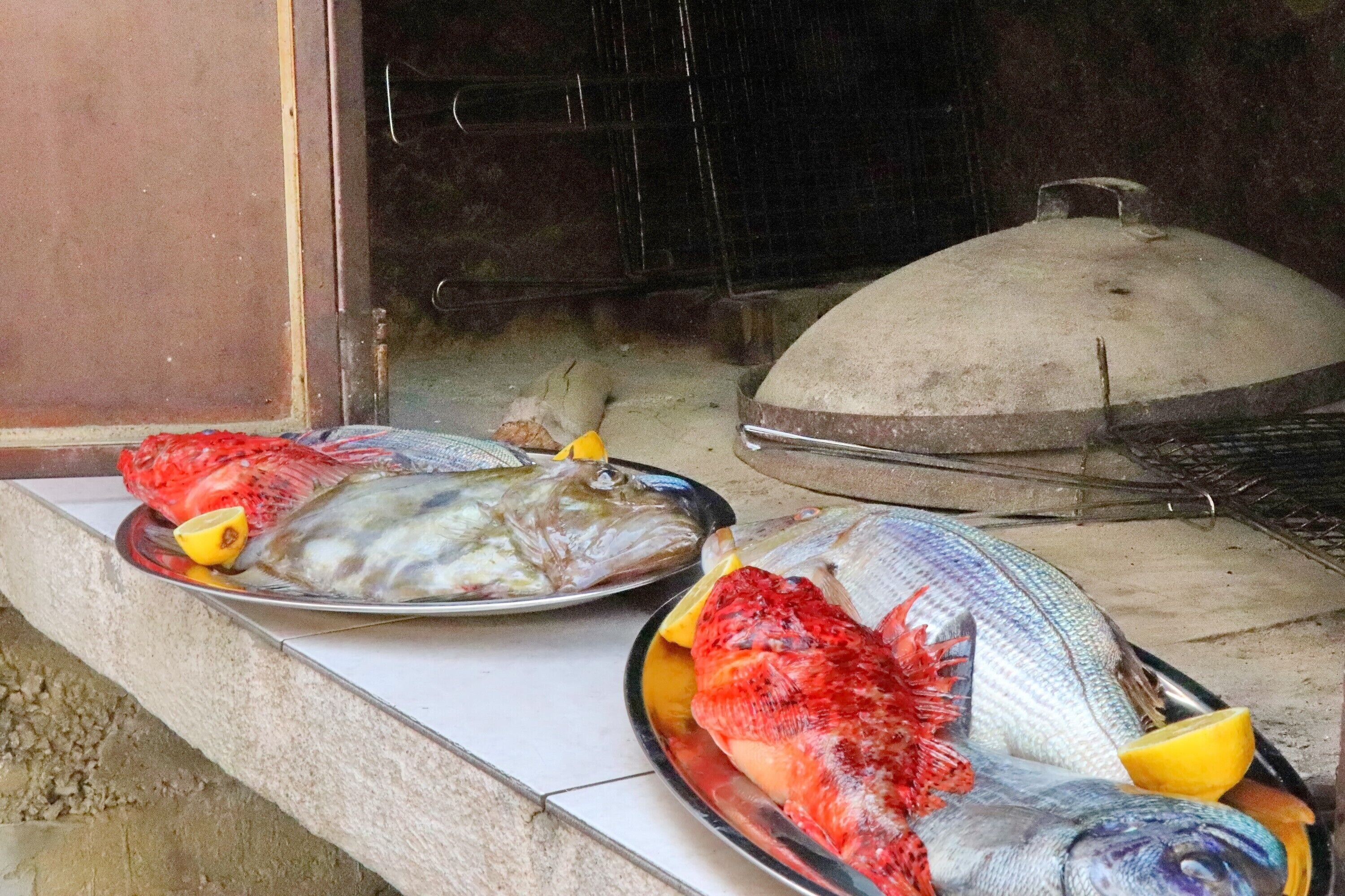 Un présentoir de fruits de mer avec différents poissons disposés sur des assiettes, un grill et un espace de cuisson abrité.