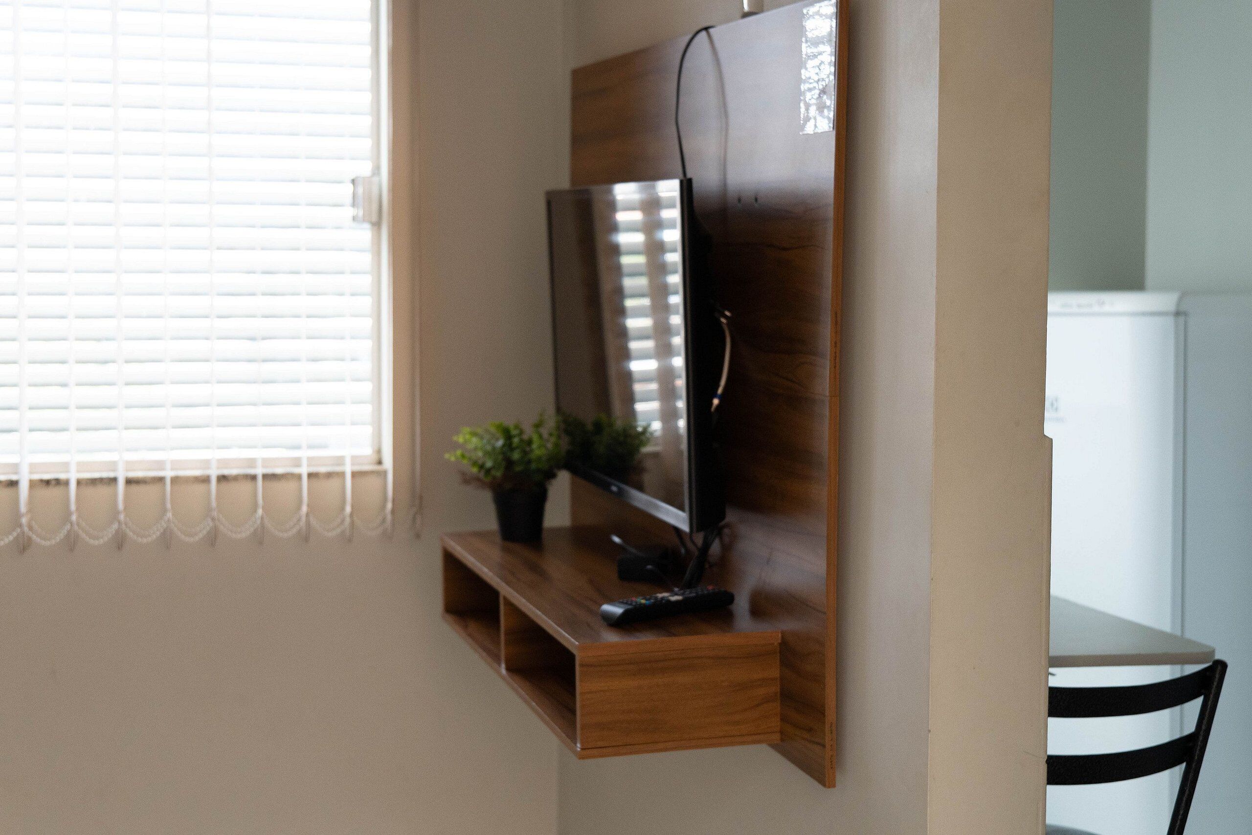 Un televisor montado en un estante de madera, con un control remoto y una planta en maceta a su lado.