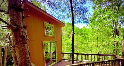 Shenandoah National Park - Sauna - Log Cabin - Treehouse - Game Room