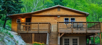 Shenandoah National Park - Sauna - Log Cabin - Treehouse - Game Room