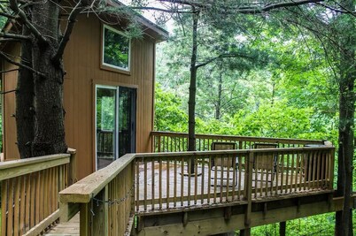Log Cabin and Treehouse