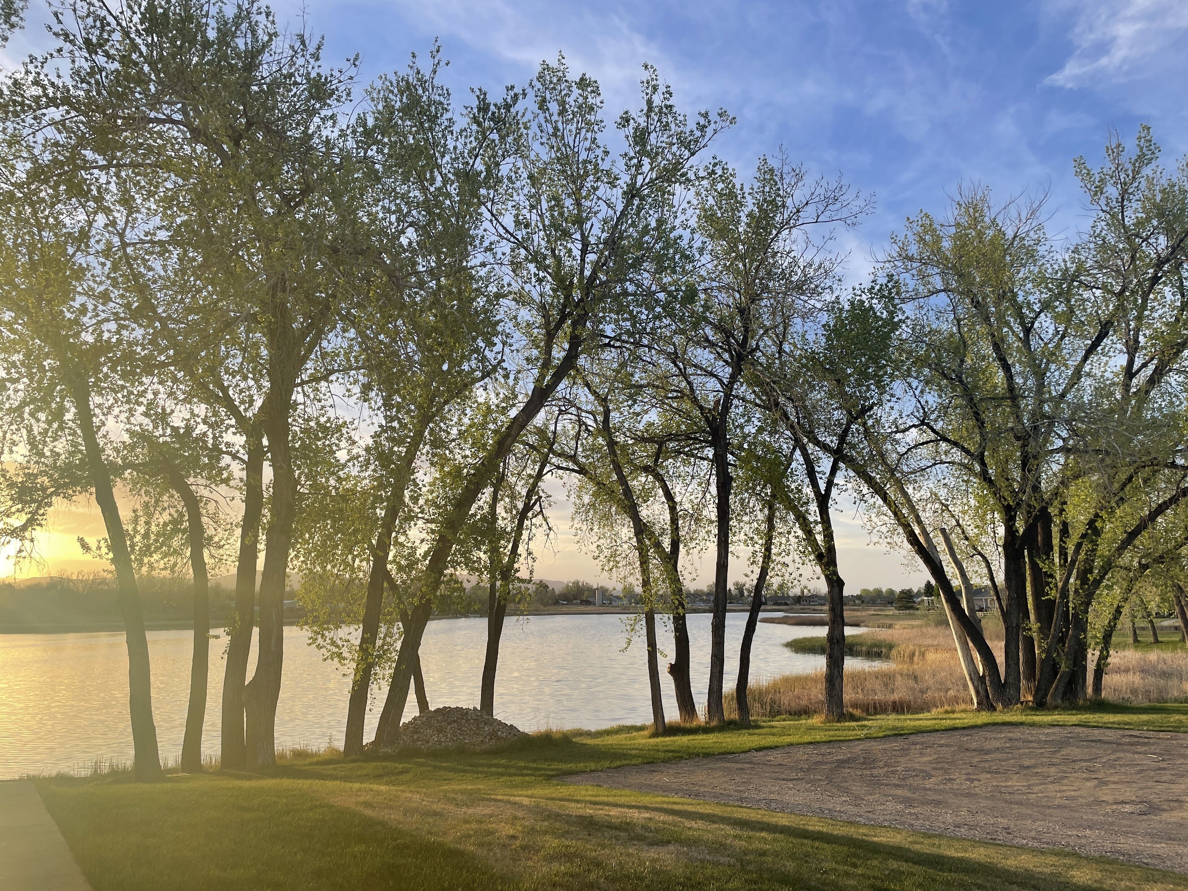 A lakeside park with trees, a grassy area, and a body of water.