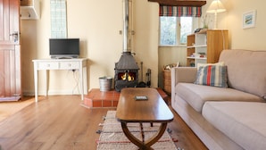 Uma sala de estar aconchegante com lareira, uma televisão sobre uma mesa, um sofá e uma estante de livros.