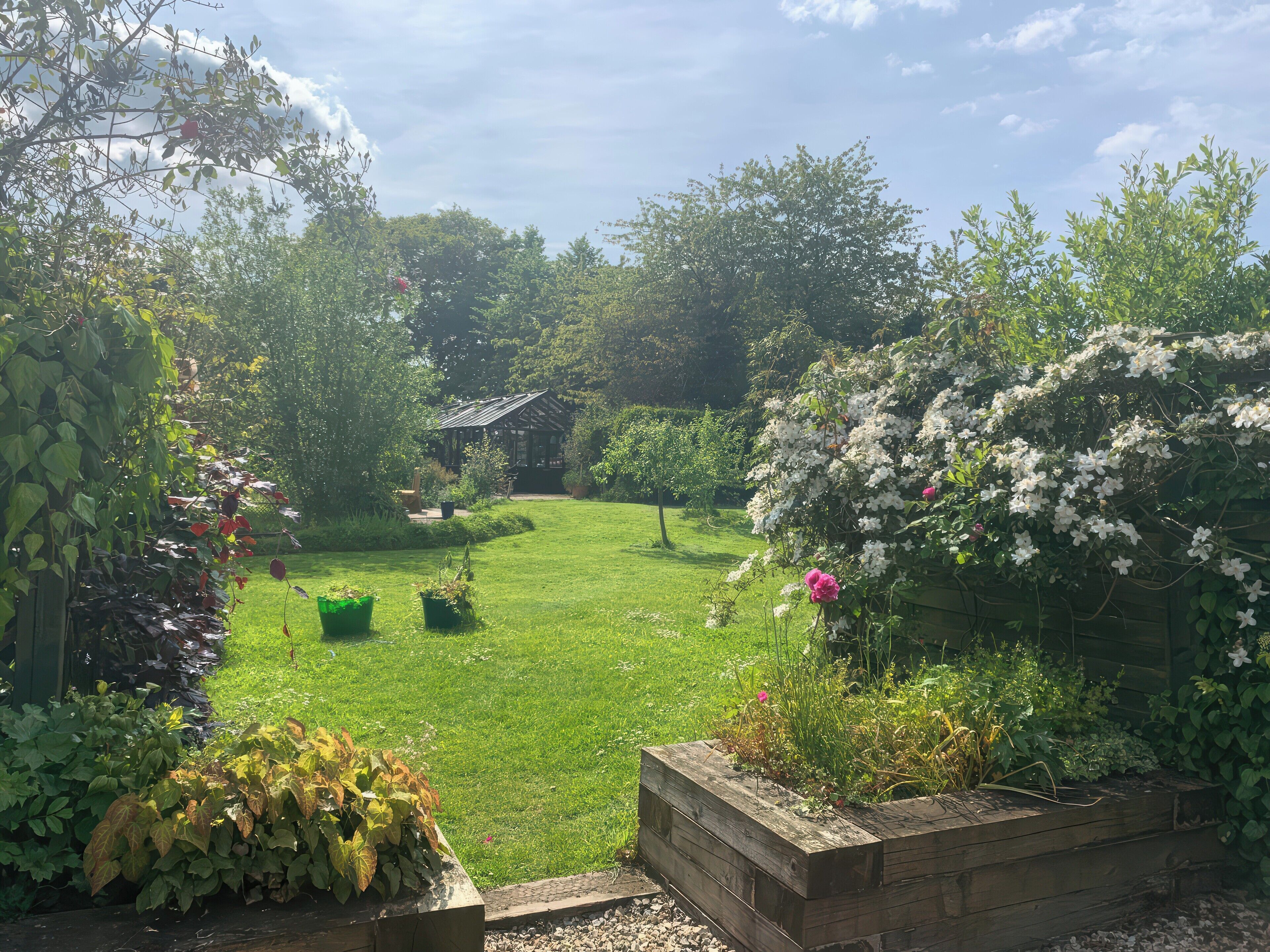 A garden with a wooden structure, a grassy lawn, and various plants.
