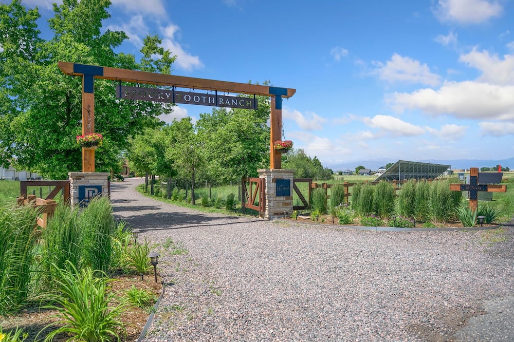 Llama-stay at Spooky Tooth Ranch – Mtn Views!!