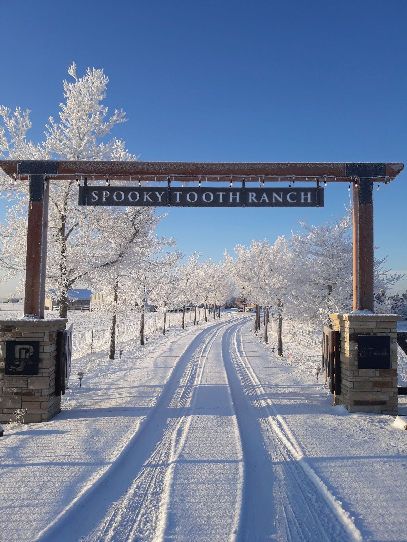 A snow-covered road leading to a sign that reads "Spooky Tooth Ranch."