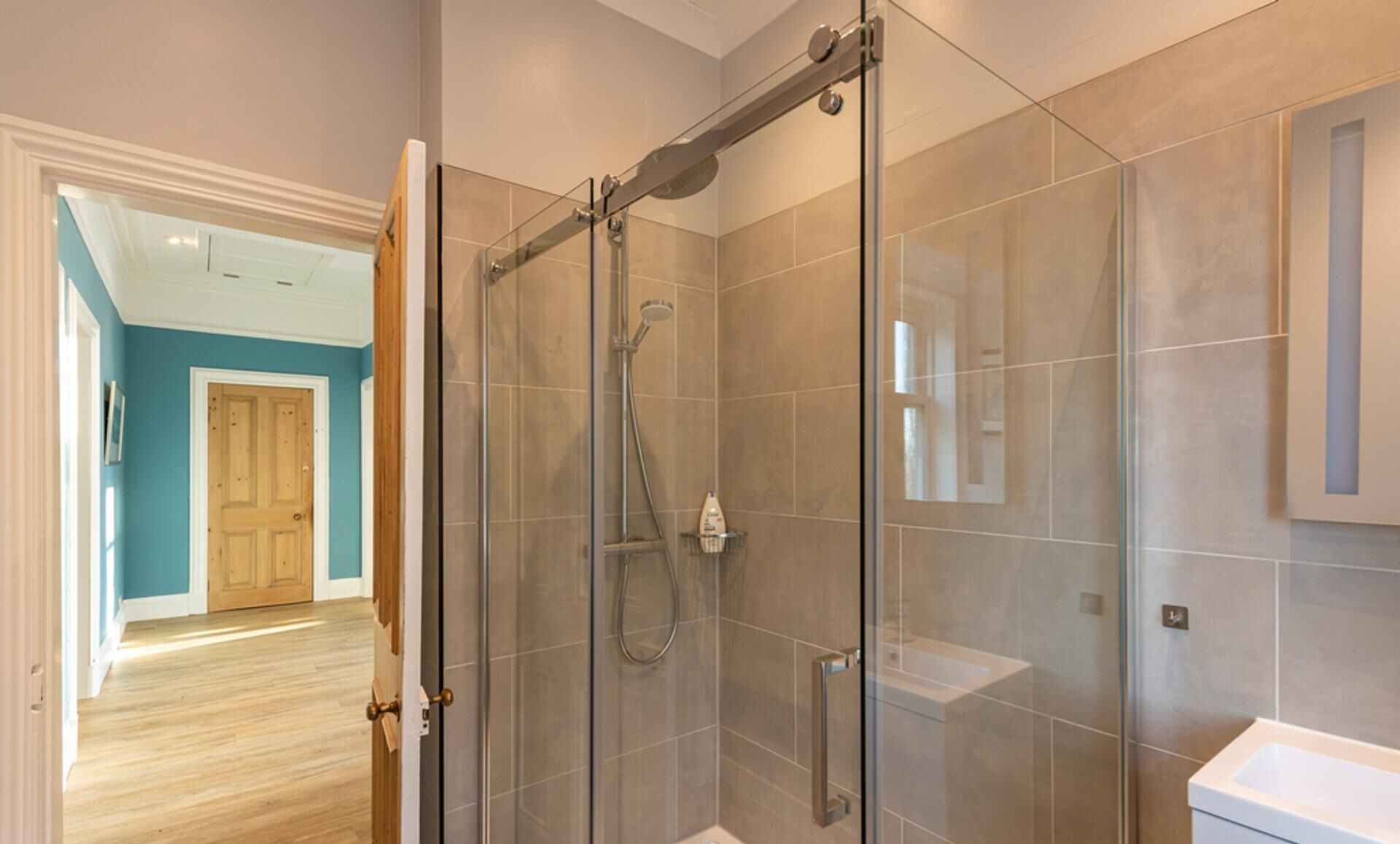 Shower, hair dryer