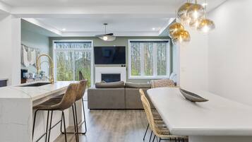 TV, fireplace, Netflix, table football