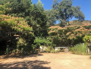 A garden with various trees and plants, a paved area, and a stone structure.