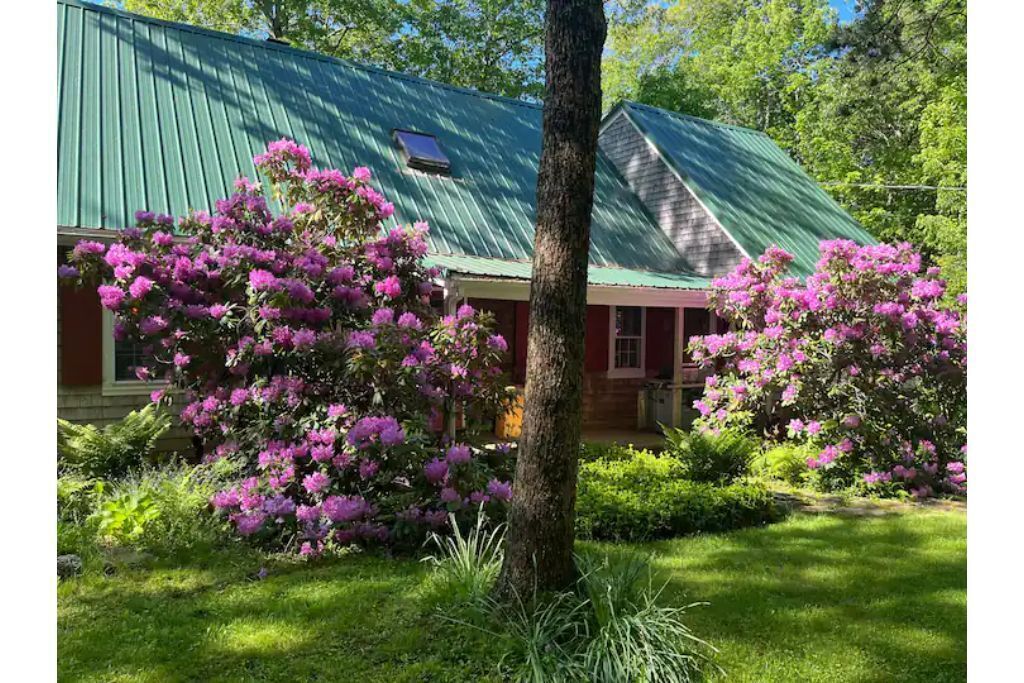 Amazing house in the forest; 10 minutes to Belfast