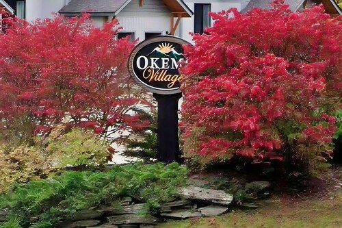 Dog-friendly townhome at the base with mountain view & woodstove - walk to lifts