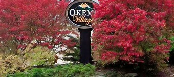 Dog-friendly townhome at the base with mountain view & woodstove - walk to lifts