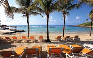 Una platja amb files de gandules taronja i palmeres.