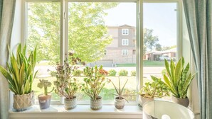Una ventana con cuatro macetas de plantas, con vistas a un barrio residencial.