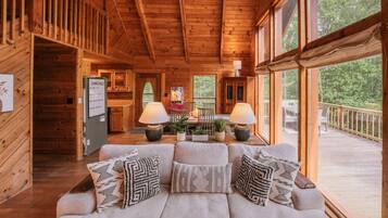 TV, fireplace, video games, offices