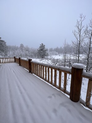 Property grounds - Red Feather Lakes Cozy Log Cabin (Red Feather Lakes)