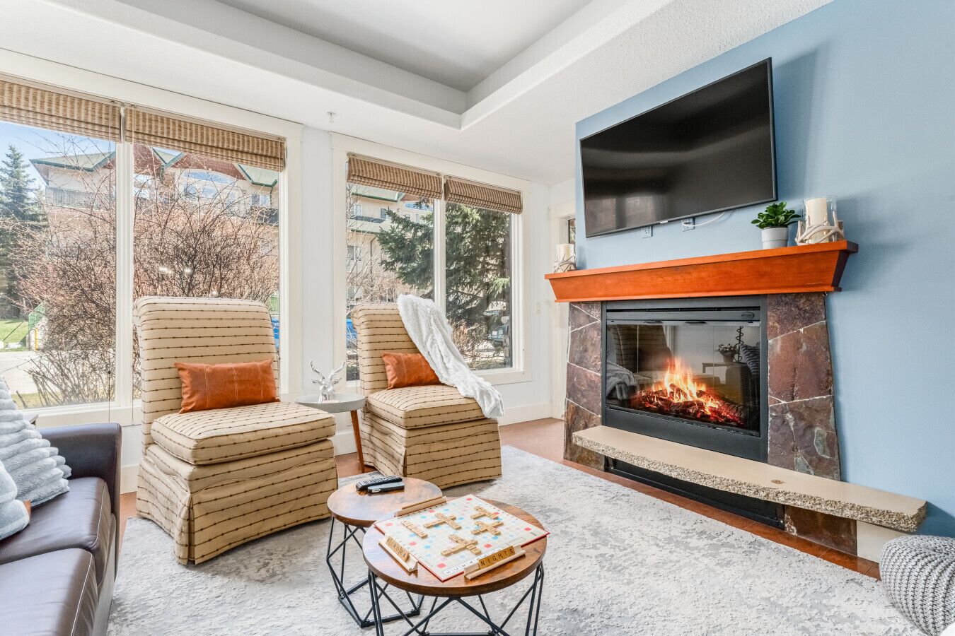 Smart TV, fireplace, books