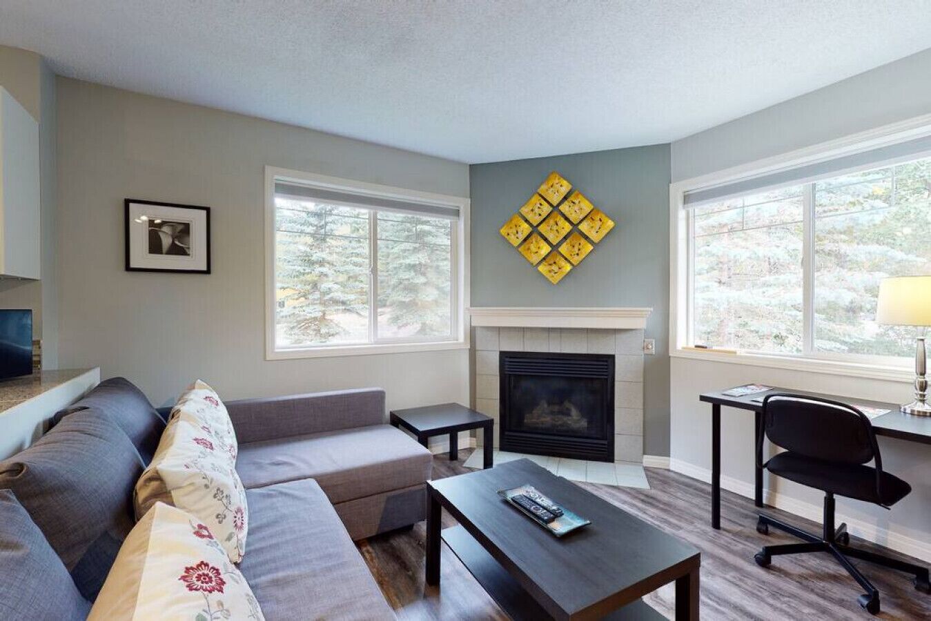 TV, fireplace