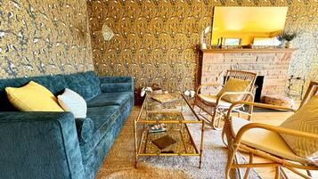 TV, fireplace, books