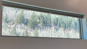 A window with a view of a forested mountain landscape. -   Private Mtn Room 1/4 mi from Purgatory.  Perfect Base Camp! (Durango)