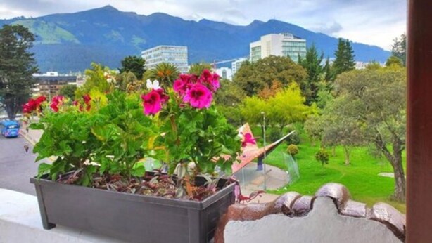 A potted plant with flowers on a balcony with a view of mountains and buildings. - Hotel Inti Quito (Quito)