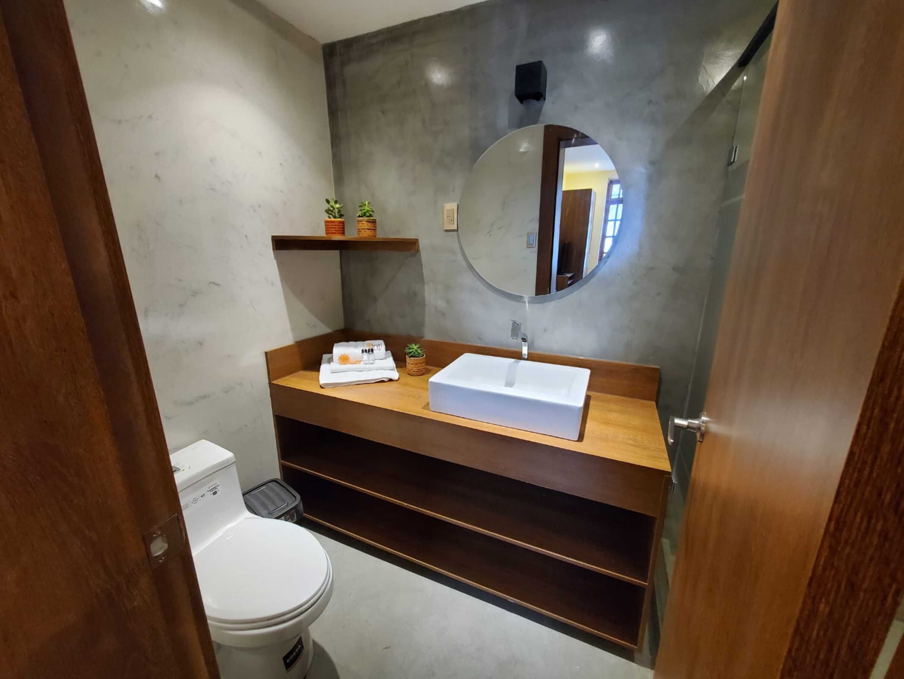 A bathroom with a white toilet, a wooden vanity with a rectangular sink, a mirror above the vanity, and a small shelf with potted plants.